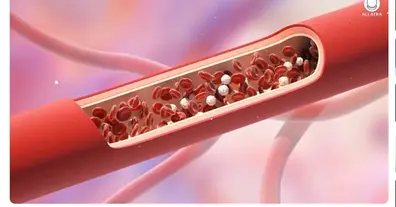 Картинка довгочиту
