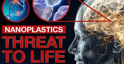 Картинка довгочиту