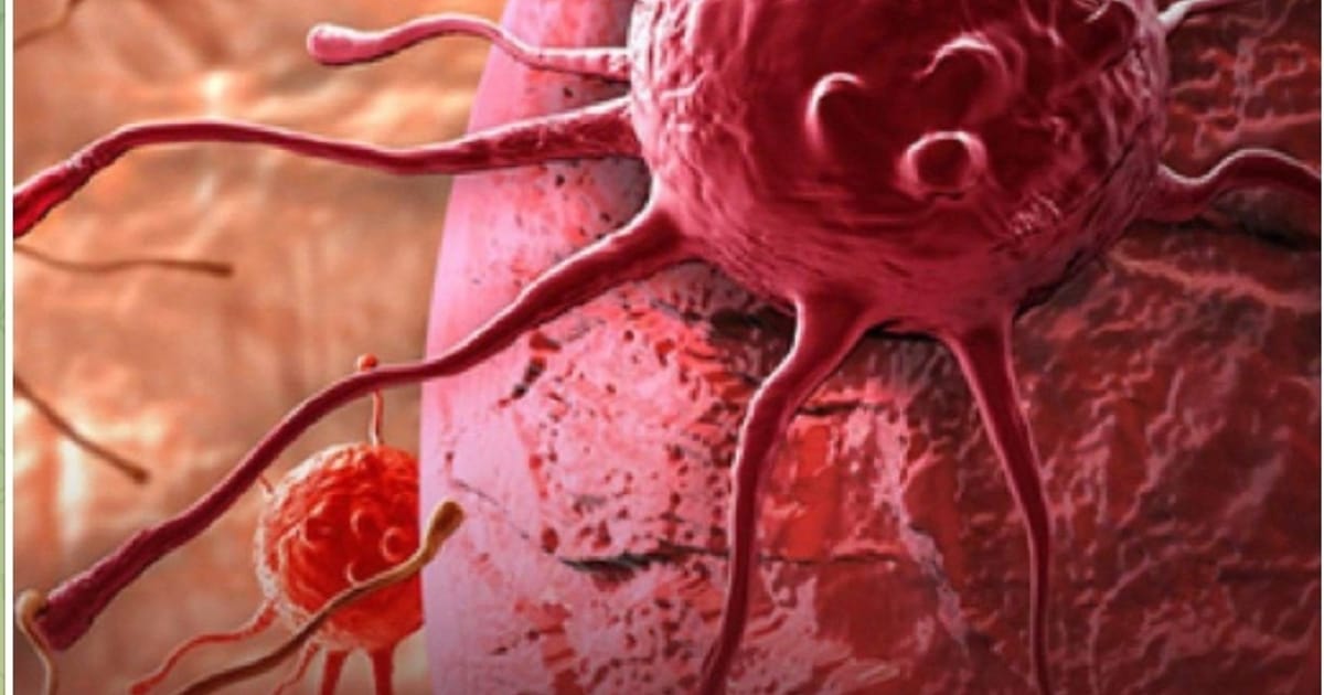 Безпліддя по-новому: Як нанопластик стає ворогом #1 для твоєї фертильності - Kateryna Doroshenko на we.ua