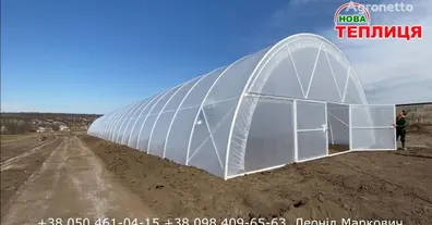 Картинка довгочиту