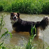 Kskristka
