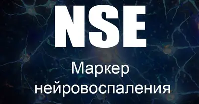 Картинка довгочиту