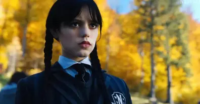 Картинка довгочиту
