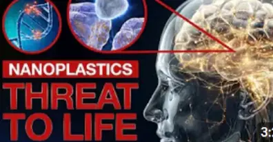 Картинка довгочиту