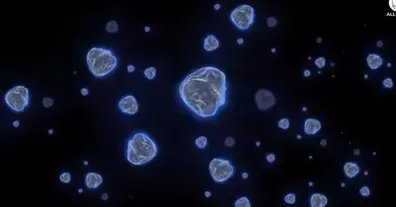 Картинка довгочиту