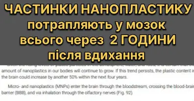 Картинка довгочиту