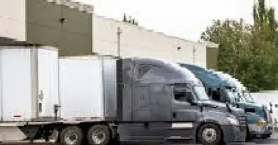 Картинка довгочиту