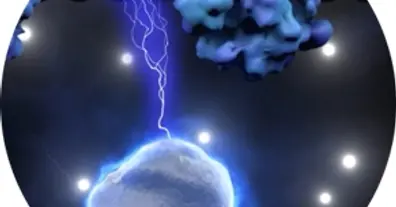 Картинка довгочиту