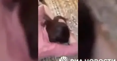 Картинка довгочиту