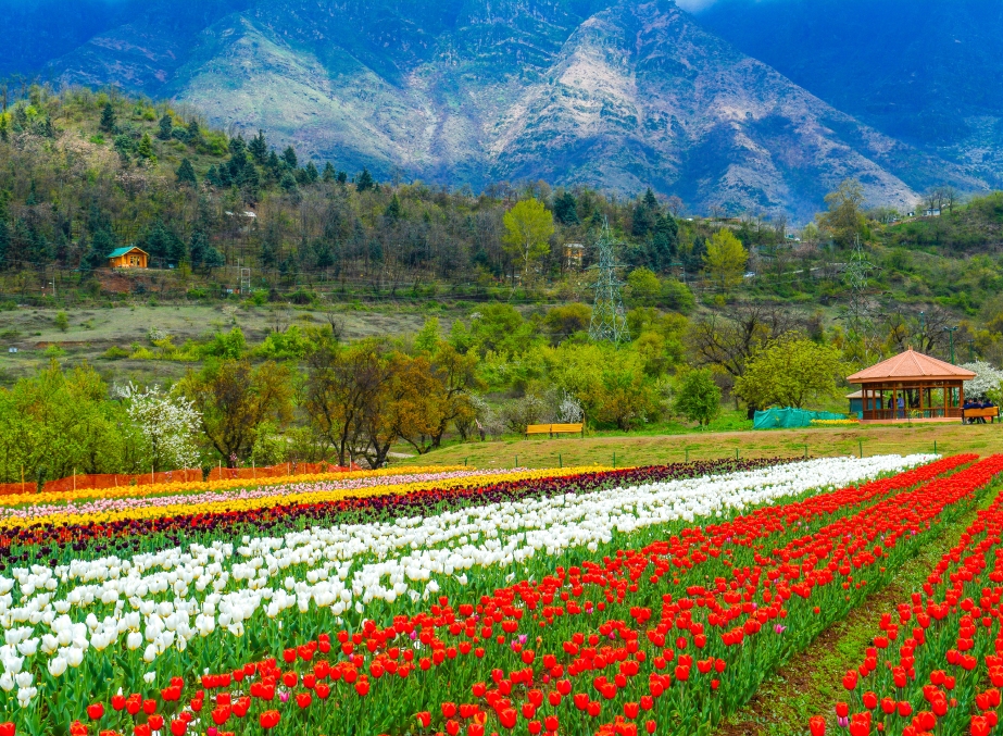 10 Best Places to Visit in Srinagar in 2024