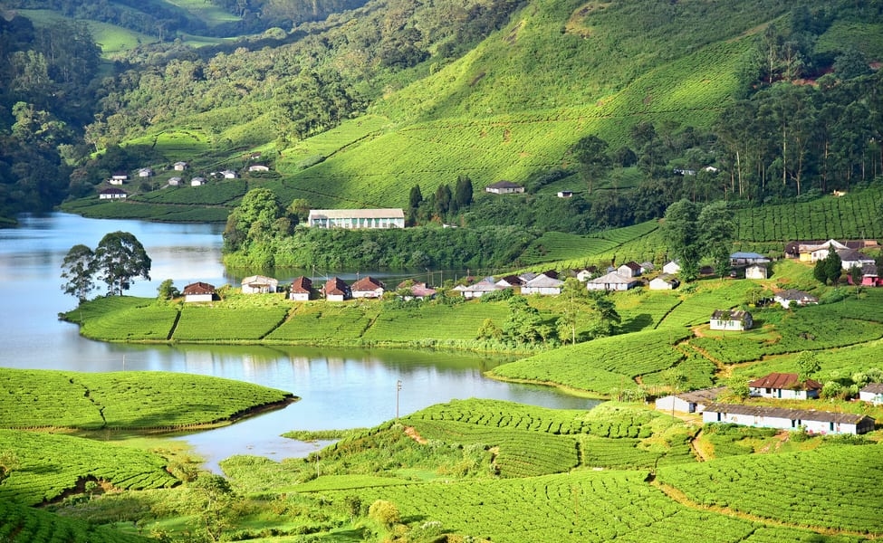 MUNNAR - The "Kashmir of South India"
