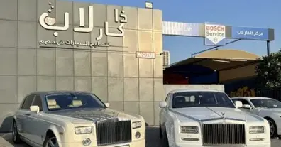 Картинка довгочиту