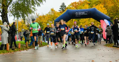 Картинка довгочиту