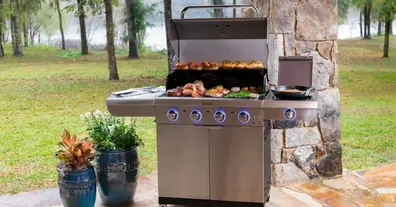 Картинка довгочиту