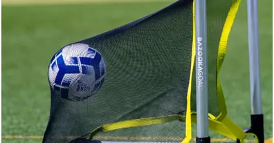 Картинка довгочиту