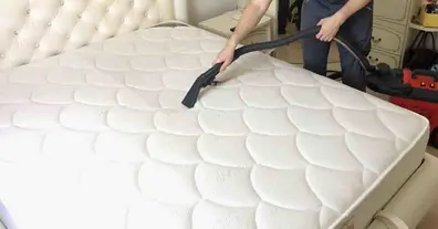 Картинка довгочиту