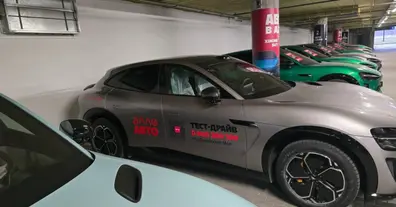 Картинка довгочиту