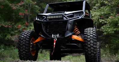 Картинка довгочиту