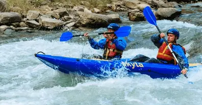 Картинка довгочиту