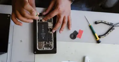 Картинка довгочиту
