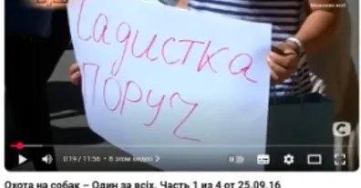 Картинка довгочиту