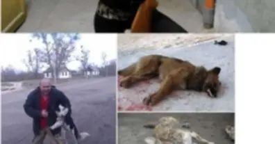 Картинка довгочиту