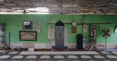 Картинка довгочиту