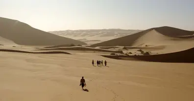 Картинка довгочиту