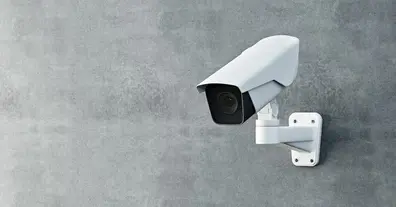 Картинка довгочиту