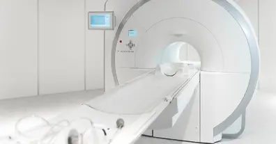 Картинка довгочиту