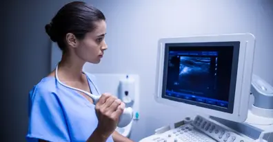 Картинка довгочиту