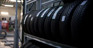 Картинка довгочиту