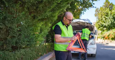 Картинка довгочиту