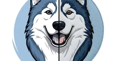 Картинка довгочиту