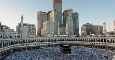 Картинка довгочиту