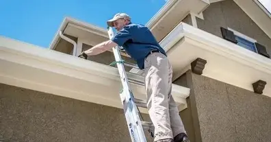 Картинка довгочиту