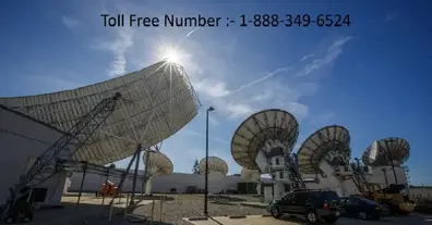 Картинка довгочиту