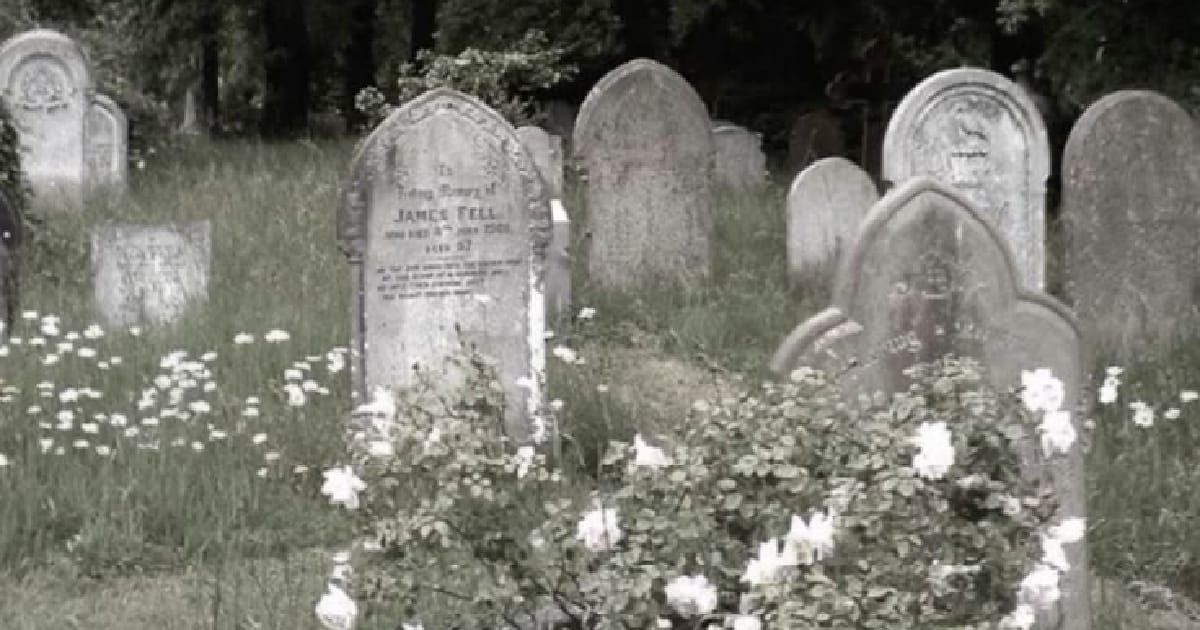 Сподіваюсь я помру… - Зелена чаїнка 🍃 на we.ua