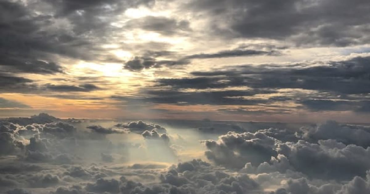 Привіт, дідусю… - Зелена чаїнка 🍃 на we.ua