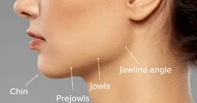 Картинка довгочиту