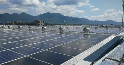 Картинка довгочиту