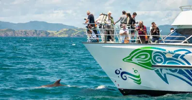 Картинка довгочиту