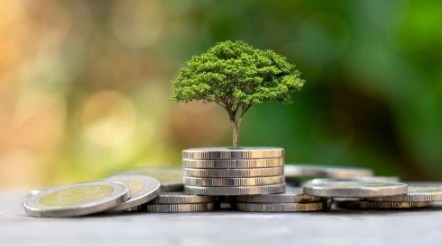 На зображенні може бути: гроші та дерево