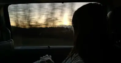 Картинка довгочиту