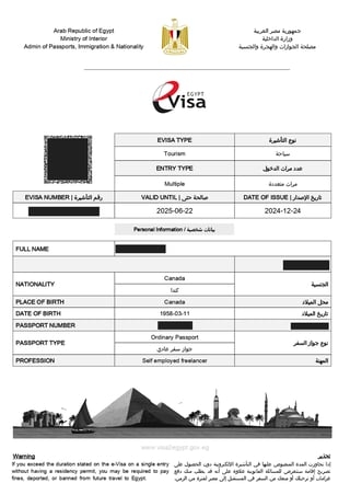 Egypt tourist eVisa sample document