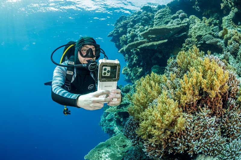 Scuba diving in Egypt | Red Sea - Planning the trip of a lifetime