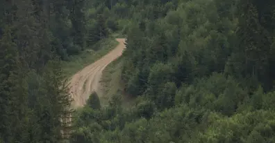 Картинка довгочиту