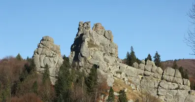 Картинка довгочиту