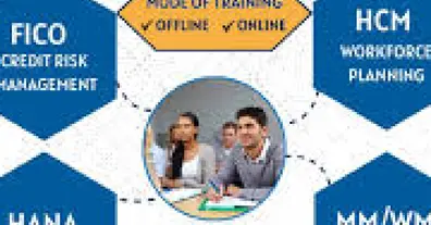 Картинка довгочиту