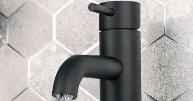 Картинка довгочиту